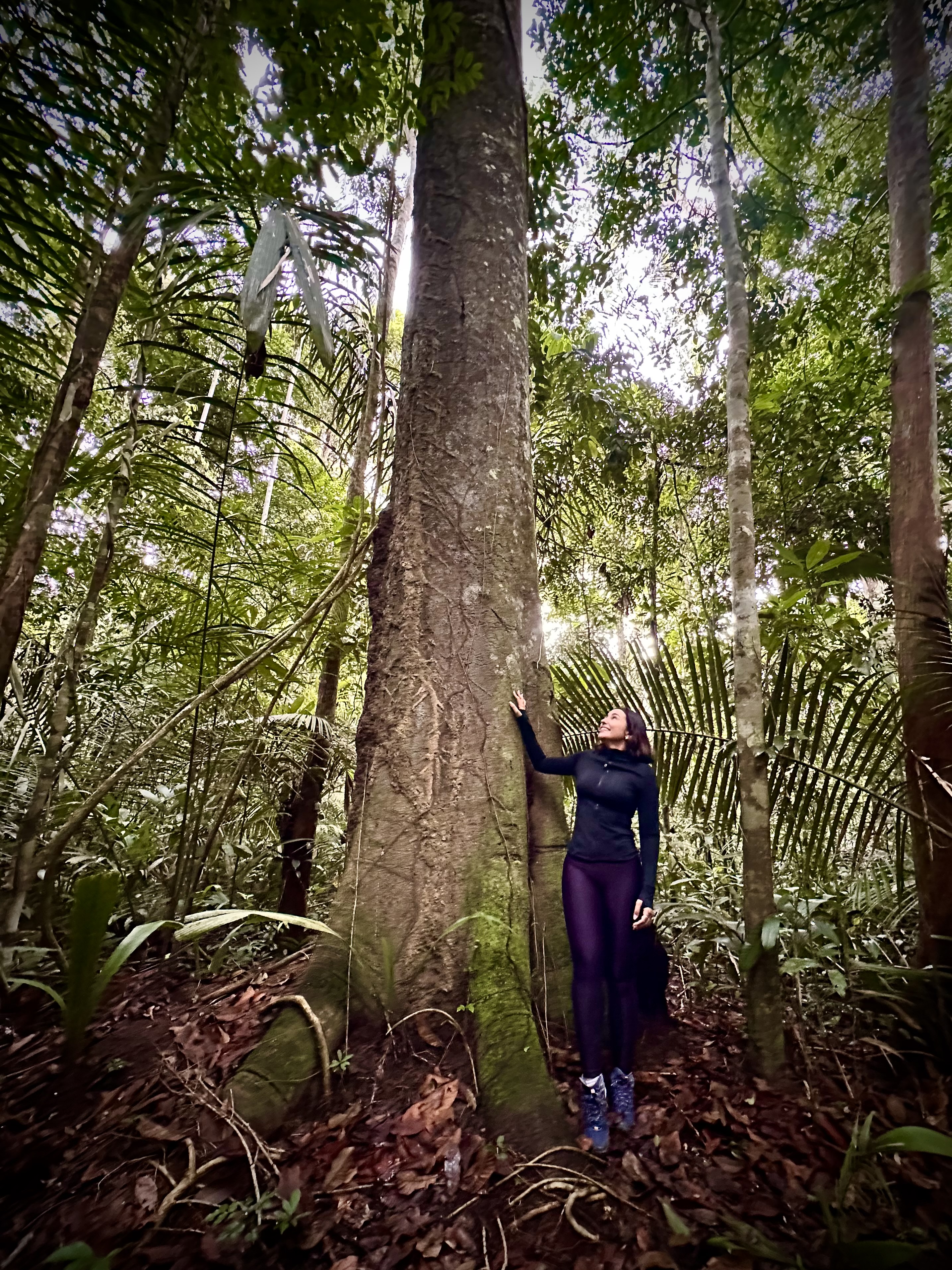 Foto 1 da viagem para Amazônia 2027