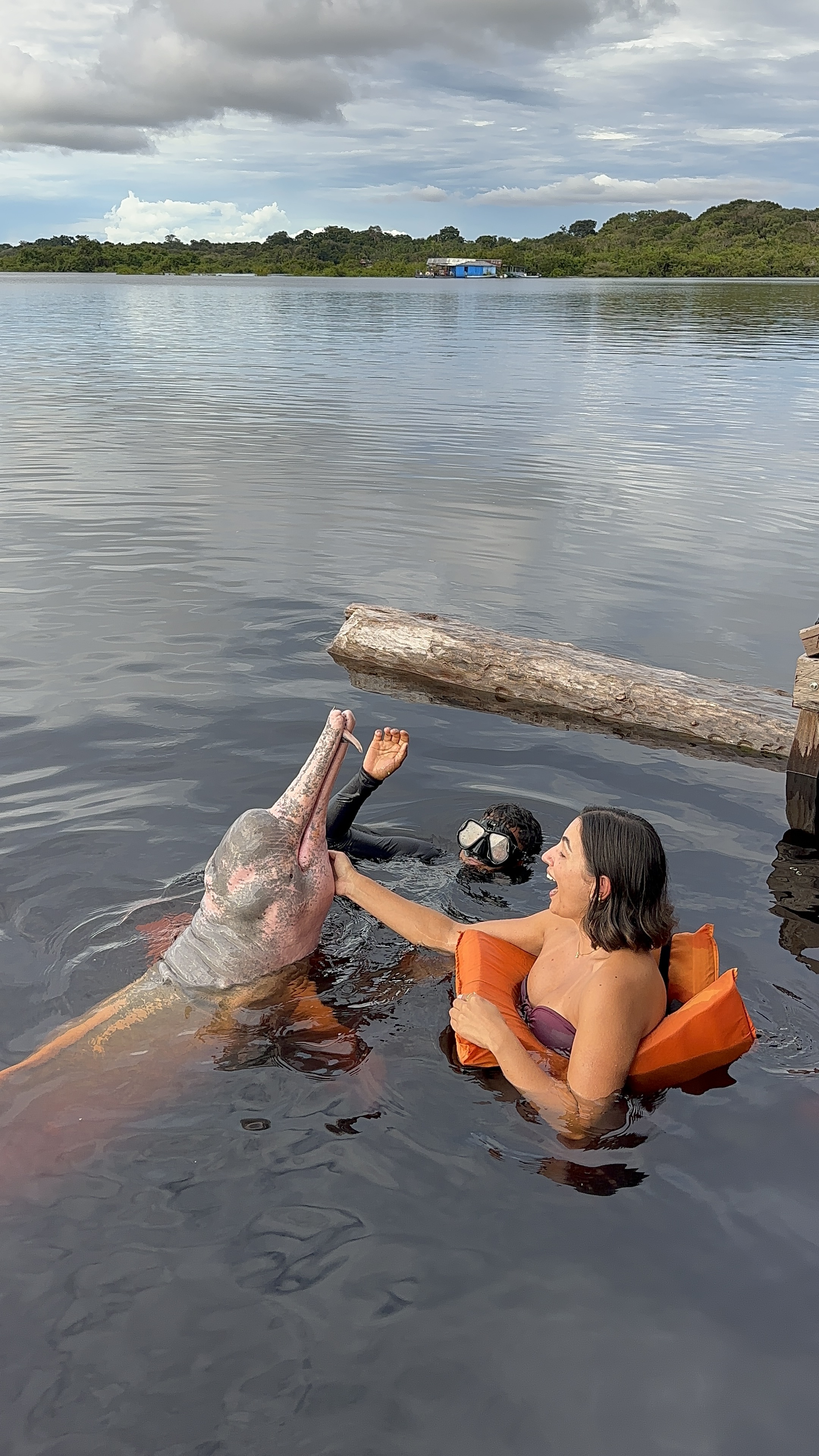 Foto 7 da viagem para Amazônia 2027