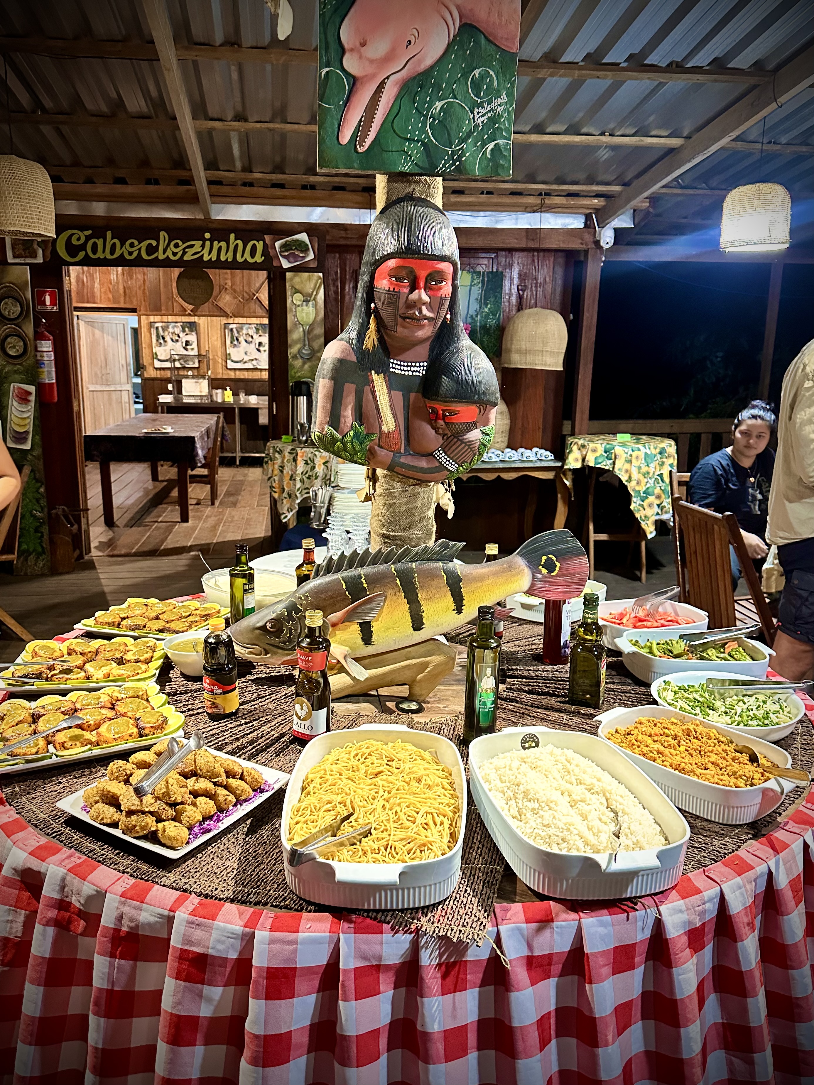 Foto 10 da viagem para Amazônia 2027